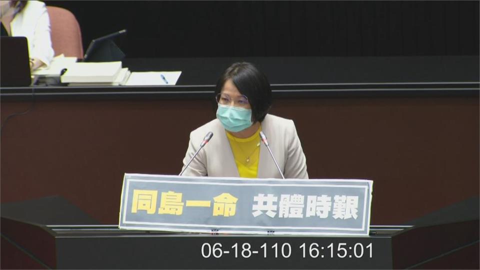 快新聞／立院審查紓困預算藍委不演了？　鄭麗文喊「我們一起擋疫苗」