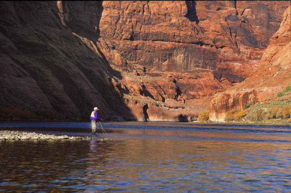 In this photo provided by Terry Gunn, an angler casts a line at Lees Ferry near Marble Canyon, Ariz. June 7, 2011. From prized rainbow trout to protected native fish, declining reservoirs are threatening the existence of these creatures, and also increasing the cost of keeping them alive. (Terry Gunn via AP)