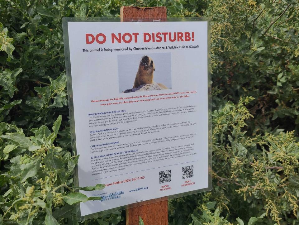 Signs posted by Channel Islands Marine and Wildlife Institute warning of sick seals on the beaches of Carpinteria, California.