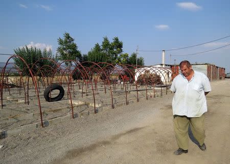 Kostas Zavlagas, who produces cotton, wheat, and clover, walks by his farm, near the village of Lianokladi, Greece July 27, 2015. REUTERS/Lefteris Karagiannopoulos