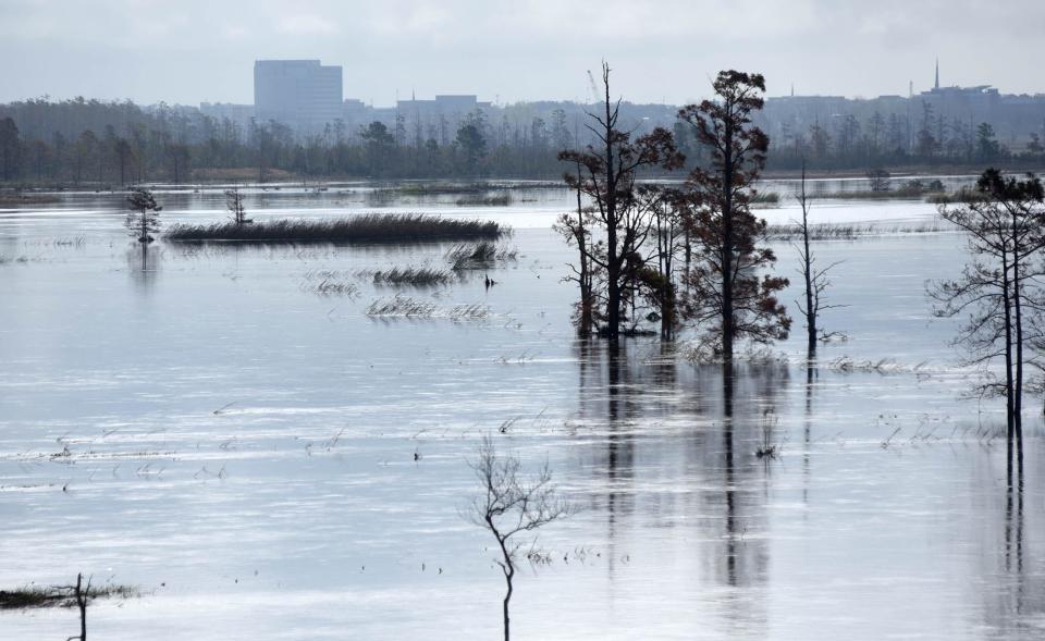 A view looking south of the Cape Fear River from I-140 with downtown Wilmington in the background Tuesday, September 25, 2018. The flooding from Hurricane Florence had made the river significantly wider than normal.