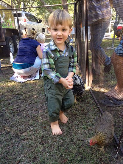 Eli was bitten three times by a taipan while collecting eggs from his family's backyard chicken coop on September 26. Photo: Supplied