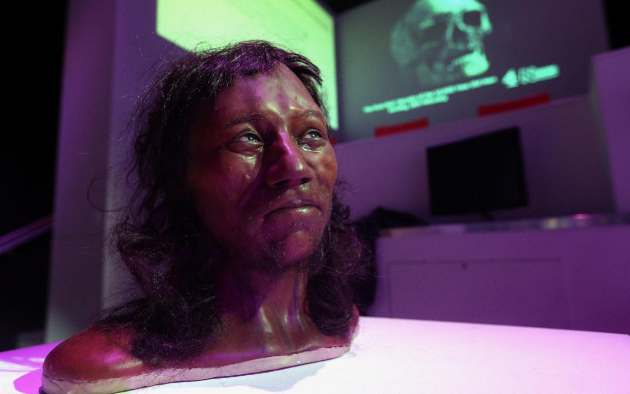 Full facial reconstruction model of a head based on the skull of Britain's oldest complete skeleton on display during a screening event of The First Brit: Secrets Of The 10,000 Year Old Man at The Natural History Museum, in London - PA