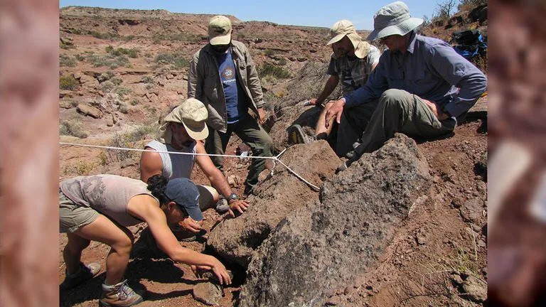 El equipo de paleontólogos bautizó al dinosaurio como Sidersaura marae