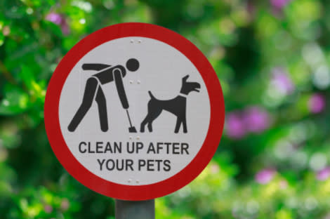 Dog Poop DNA Tests Track Down Violators