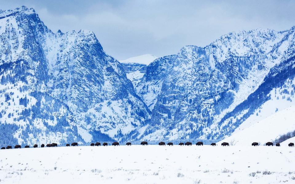 Snowmobiling in Jackson Hole