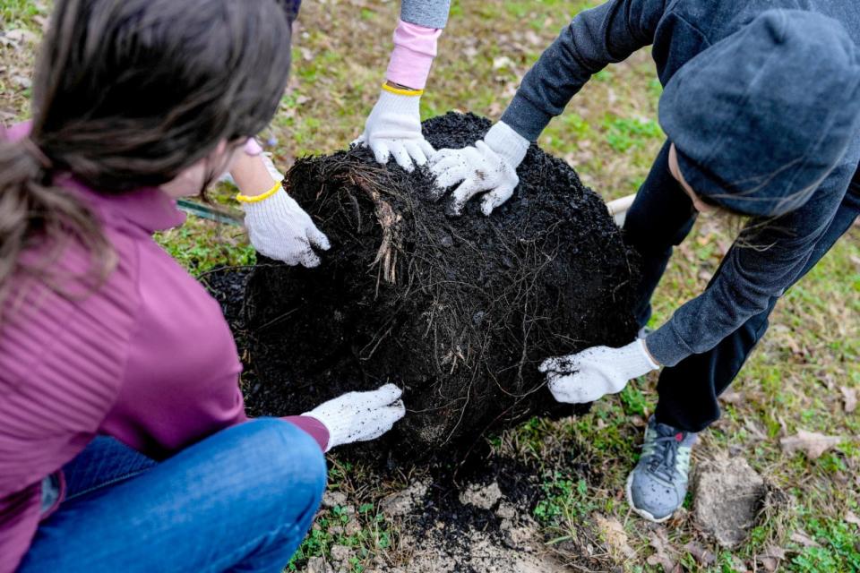 PHOTO: Volunteers join Trees For Houston to plant over a hundred trees to commemorate Arbor Day, Jan. 27, 2024, at Tidwell Park in Houston. (Raquel Natalicchio/Houston Chronicle via Getty Images)