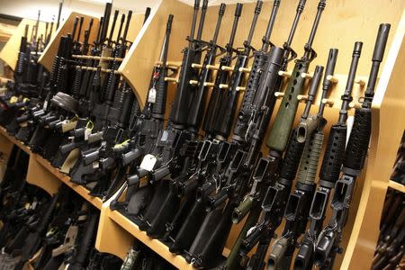 AR-15 rifles line a shelf in the gun library at the U.S. Bureau of Alcohol, Tobacco and Firearms National Tracing Center in Martinsburg, West Virginia December 15, 2015. REUTERS/Jonathan Ernst