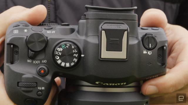 Canon EOS R6 II review: An excellent hybrid camera with few flaws