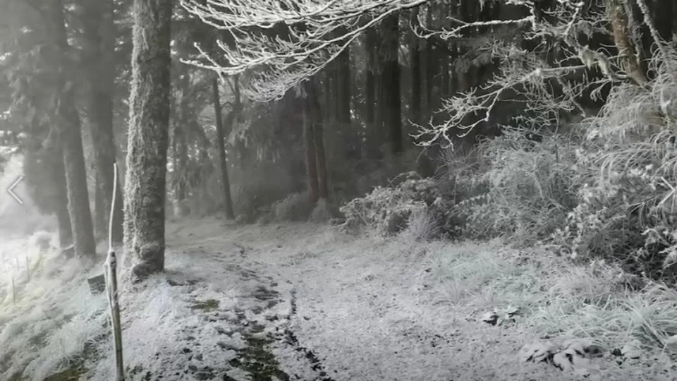 &#x005411;&#x00967d;&#x004ee5;&#x006771;&#x0090e8;&#x005206;&#x008def;&#x006bb5;&#x004e0b;&#x0096ea;&#x003002;&#x00ff08;&#x005716;&#x00ff0f;&#x006797;&#x0059d3;&#x005c71;&#x0053cb;&#x0063d0;&#x004f9b;&#x00ff09;