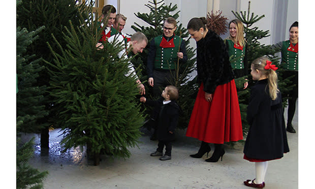 Prince Oscar welcomes Christmas trees to the royal palace