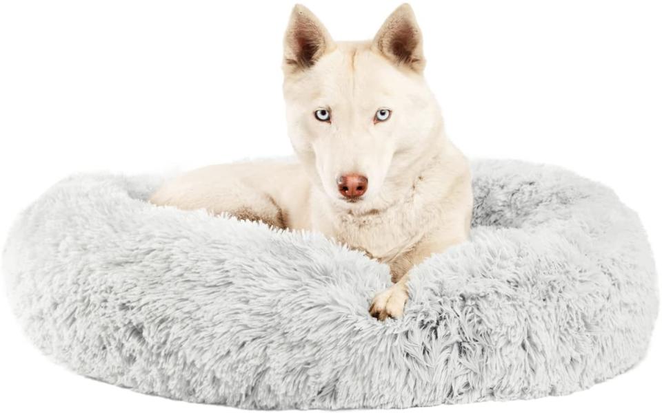 A high-quality, donut-shaped, cuddler design dog bed