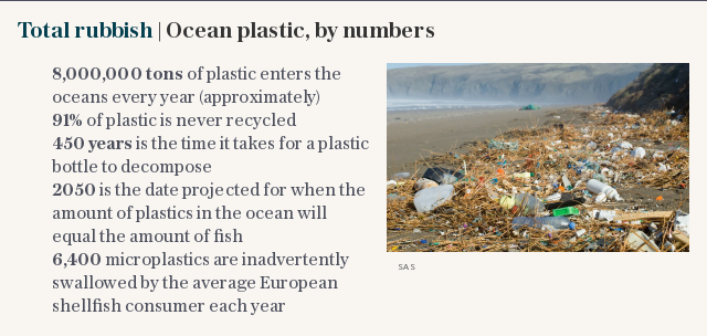 Total rubbish | Ocean plastic, by numbers