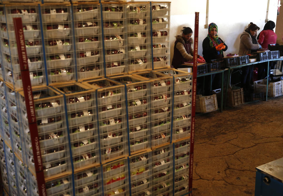 In this Oct. 31 2018 photo, workers pack Lebanese fruits for export from Lebanon to the Gulf and other Arab countries, at a warehouse in Bar Elias town, Bekaa Valley, Lebanon. The long-awaited reopening of a vital border crossing between Syria and Jordan earlier this month was supposed to bring relief to Lebanese farmers and traders looking to resume exports to Gulf countries. But the commerce has so far been complicated by politics, high transit fees and fighting over which trucks pass through which country. (AP Photo/Hussein Malla)