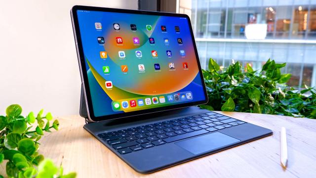 11-Inch and 13-Inch iPad Pro Models With OLED Displays Expected to Launch  in Mid 2024 - MacRumors