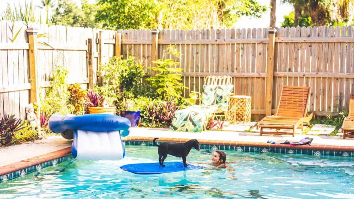 A girl and dog playing in the swimming pool