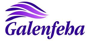 Galenfeha Inc