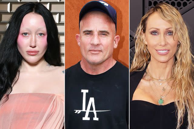 <p>Pascal Le Segretain/Getty; Bertrand Rindoff Petroff/Getty; Kayla Oaddams/WireImage</p> Noah Cyrus, Dominic Purcell, Tish Cyrus