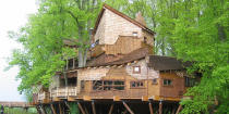 <b>Alnwick Garden Treehouse</b> Because it is anchored to the ground this is not a treehouse in the traditional sense of the word. However, it stretches high into the treetops and several trees grow right through the floor and up past the roof. The building is home to a restaurant that serves gourmet local food.