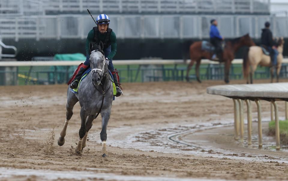 LOUISVILLE, KENTUCKY - APRIL 29:  Essential Quality runs on the track during the training for the Kentucky Derby at Churchill Downs on April 29, 2021 in Louisville, Kentucky. (Photo by Andy Lyons/Getty Images)