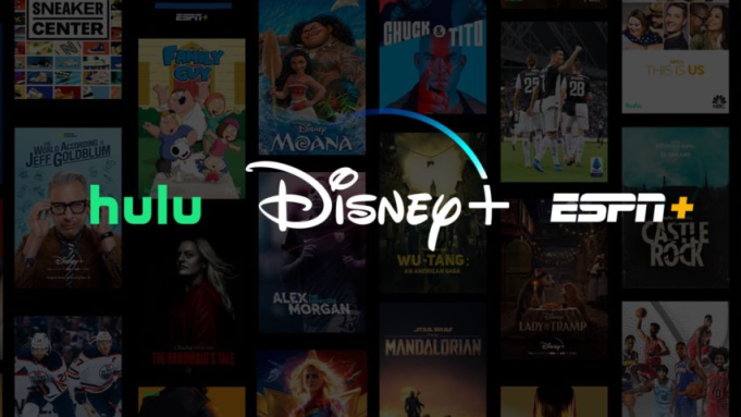 Disney Plus bundle, Disney Plus subscription