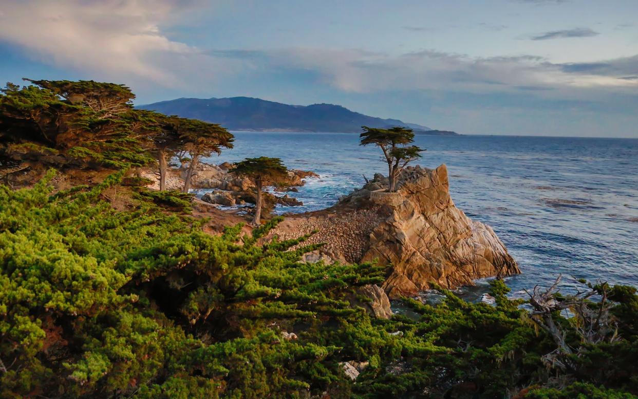 17-Mile Drive along the PCH in California