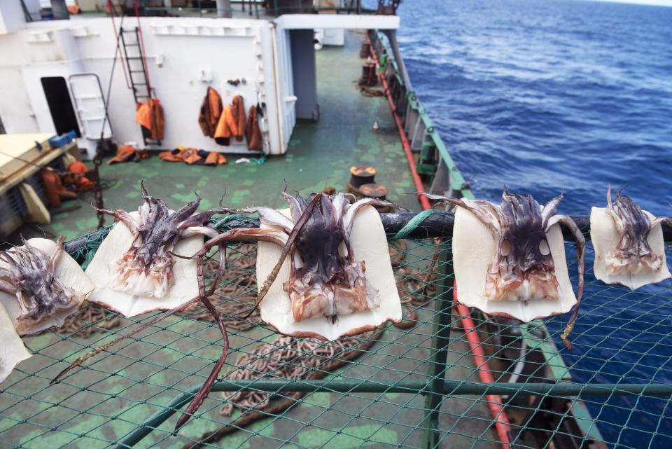 In this photo made available by the U.S. Coast Guard, guardsmen from the cutter James conduct a boarding of a fishing vessel in the eastern Pacific Ocean, on Aug. 3, 2022. During the 10-day patrol for illegal, unreported or unregulated fishing, three vessels steamed away. Another turned aggressively 90 degrees toward the James, forcing the American vessel to maneuver to avoid being rammed. (Petty Officer 3rd Class Hunter Schnabel/U.S. Coast Guard via AP)