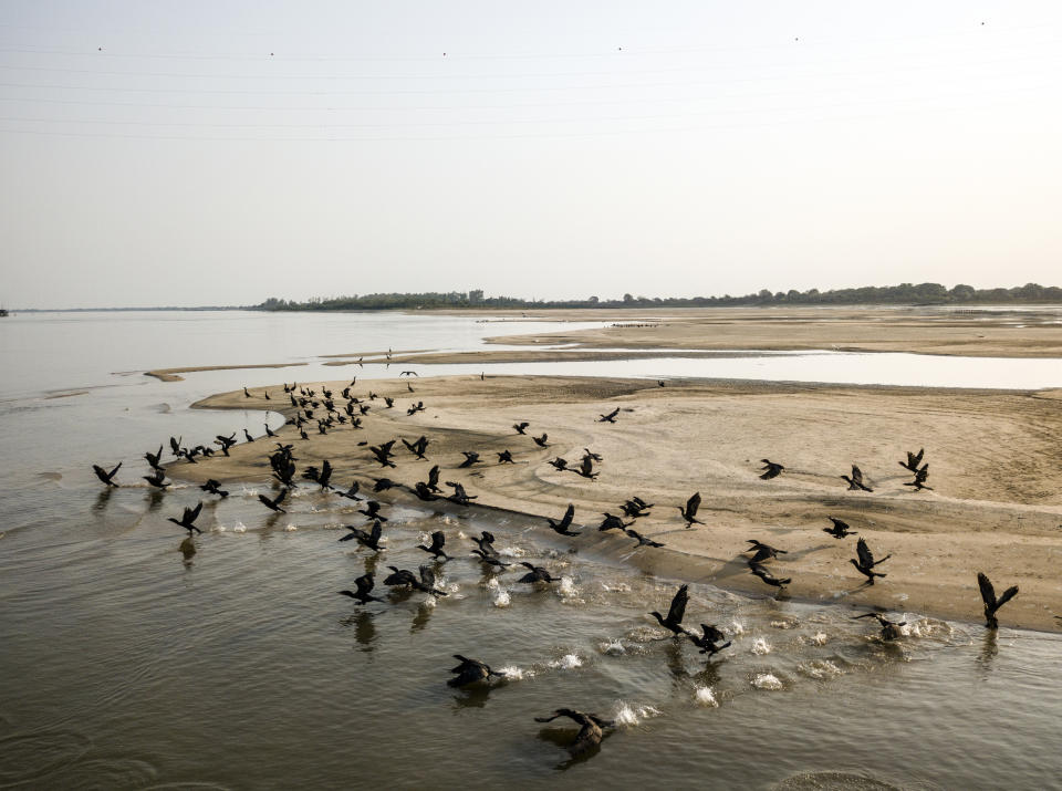 Las aves se reúnen en los bancos de arena que fueron desenterrados por el nivel históricamente bajo del Río Paraguay en Asunción, Paraguay, el martes 6 de octubre de 2020. (AP Foto/Jorge Saenz)