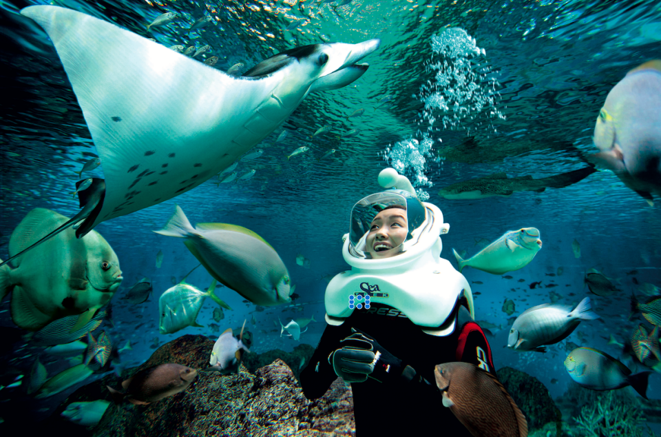 Sea Trek® is a once-in-a-lifetime opportunity.