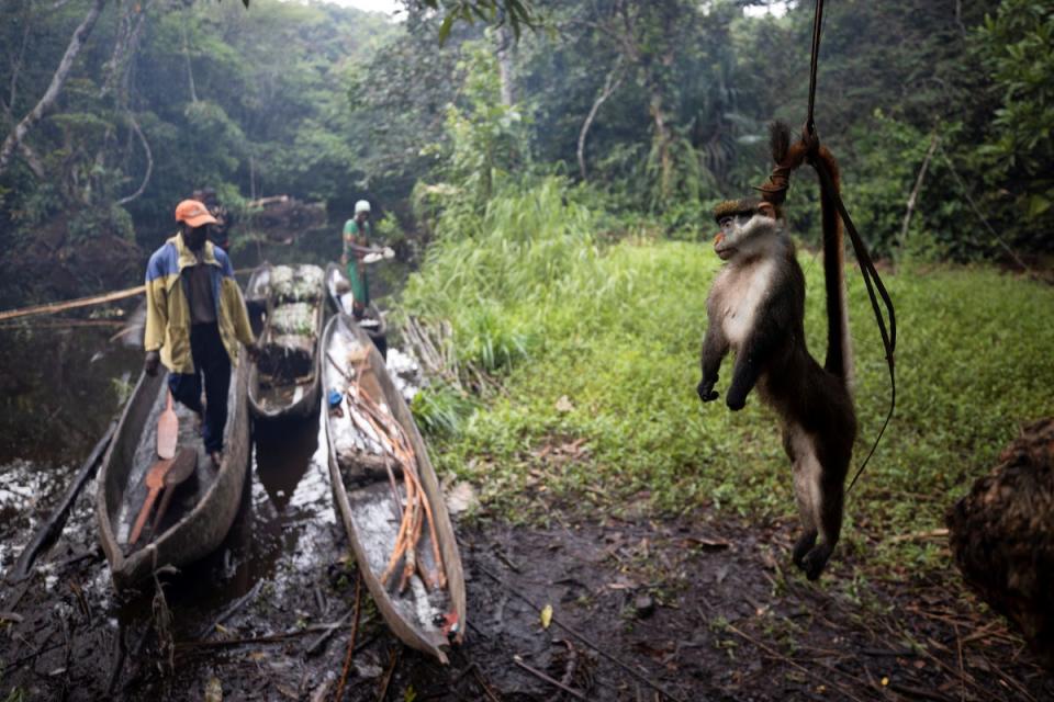 reuters poy 2019 dr congo.JPG