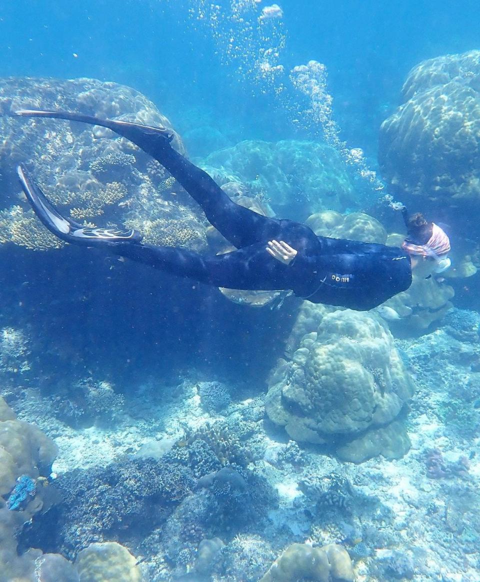 A scuba diver seen swimming underwater.