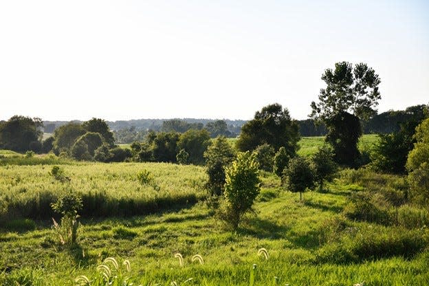 The sprawling 100-acre Granville Land Lab was recently dedicated as a WILD School Site by the Ohio Department of Natural Resources.