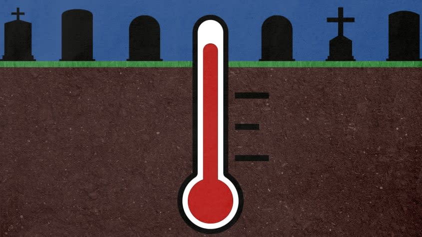 A thermometer.