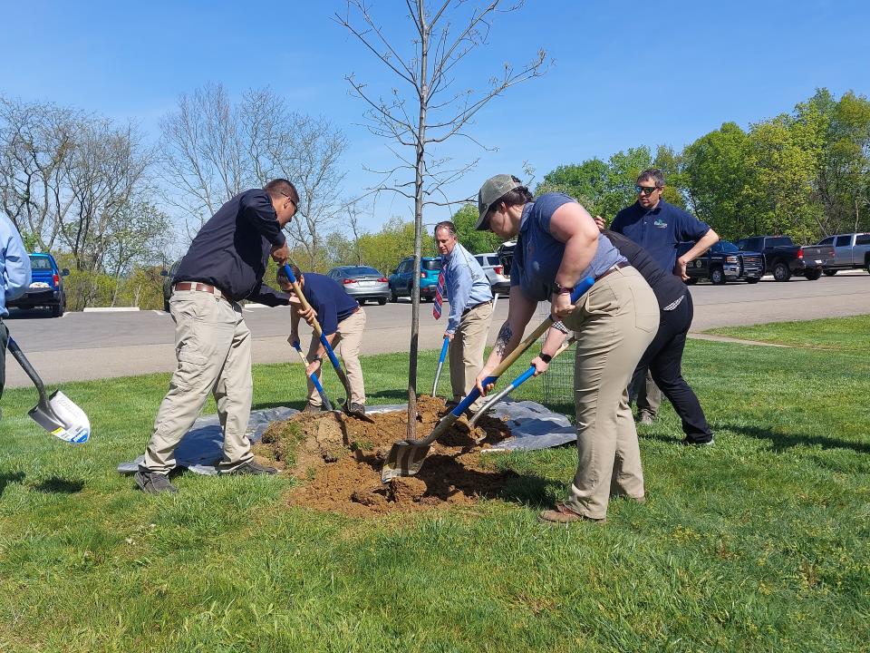 ODNR staff and volunteers plant tree at Great Seal State Park for Arbor Day and to commemorate ODNR's 75th anniversary.
