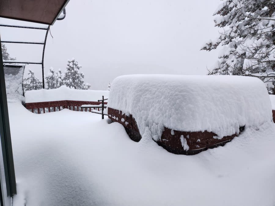 Conifer on Shadow Mountain (Eric Starzynski)