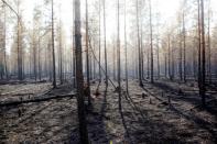 There have been 27 fires across Sweden, which is experiencing an unprecedented drought and the highest temperatures in a century