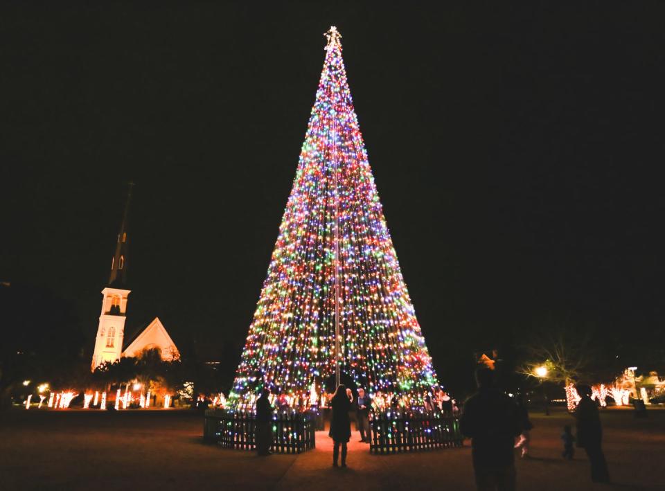 South Carolina: City of Charleston Christmas Tree