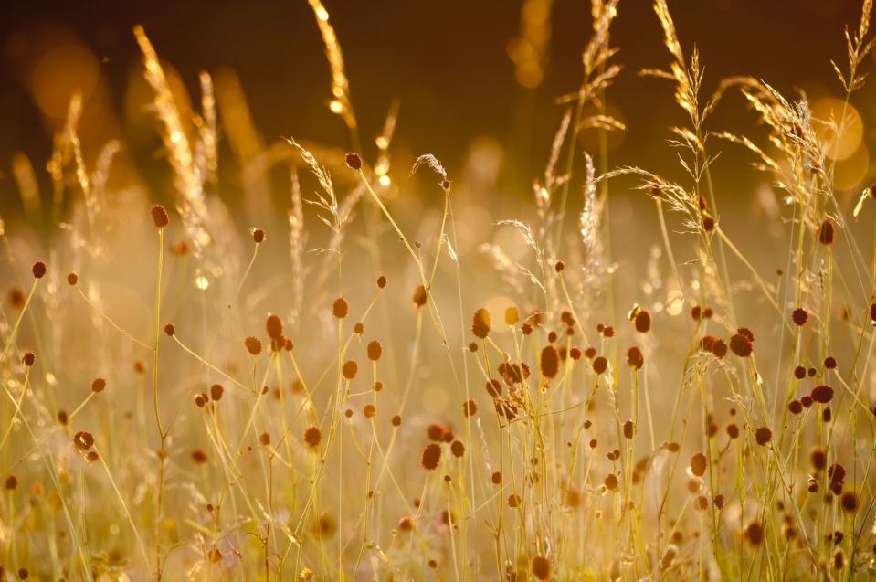 clattinger meadows