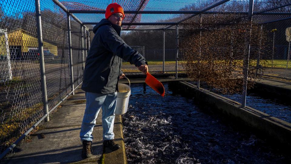 Kenneth "KC" Fernstrom, a senior biologist with the Department of Environmental Management, will be arriving by 7:30 Christmas morning to feed the fish at the Lafayette Trout Hatchery in North Kingstown.