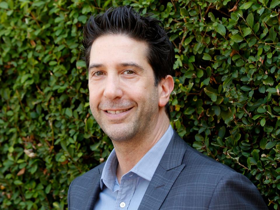 david schwimmer