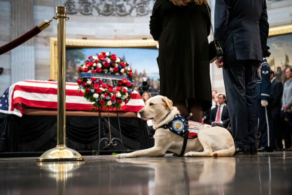 19) Sully, the former president's service dog, visits the casket.