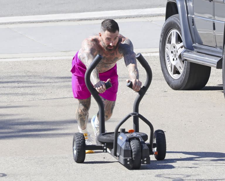 En forma: el cantante de Maroon 5, Adam Levine, fue captado en medio de su rutina de ejercicios Santa Bárbara; junto a su personal trainer, se lo ve sin remera empujando un trineo de entrenamiento por su barrio 
