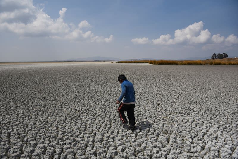 El lago Titicaca se encoge en medio de una sequía extrema, en Isla Cojata