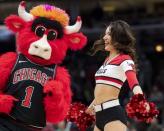 Dec 8, 2018; Chicago, IL, USA; A Chicago Bulls cheerleader is seen with Benny the Bull during the second half against the Boston Celtics at United Center. Patrick Gorski-USA TODAY Sports