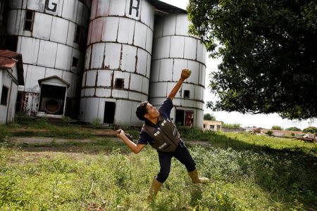 Josue Moreno, 14, throws a stick towards a mango tree as he tries to dislodge the fruits in La Fria, Venezuela, June 2, 2016. REUTERS/Carlos Garcia Rawlins