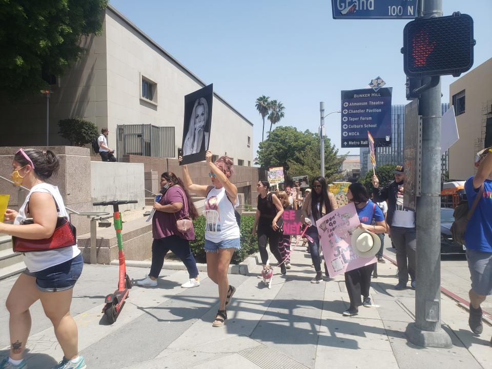 #FreeBritney protesters circle the courthouse.