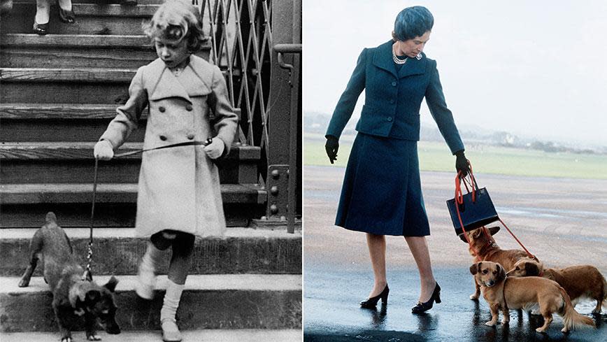 Queen Elizabeth II and her corgis: A love story