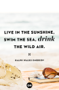 <p>Live in the sunshine, swim the sea, drink the wild air.</p>