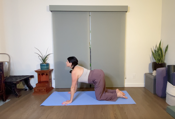 A woman in loose purple pants and a gray tank top practices Cow Pose on a blue mat.