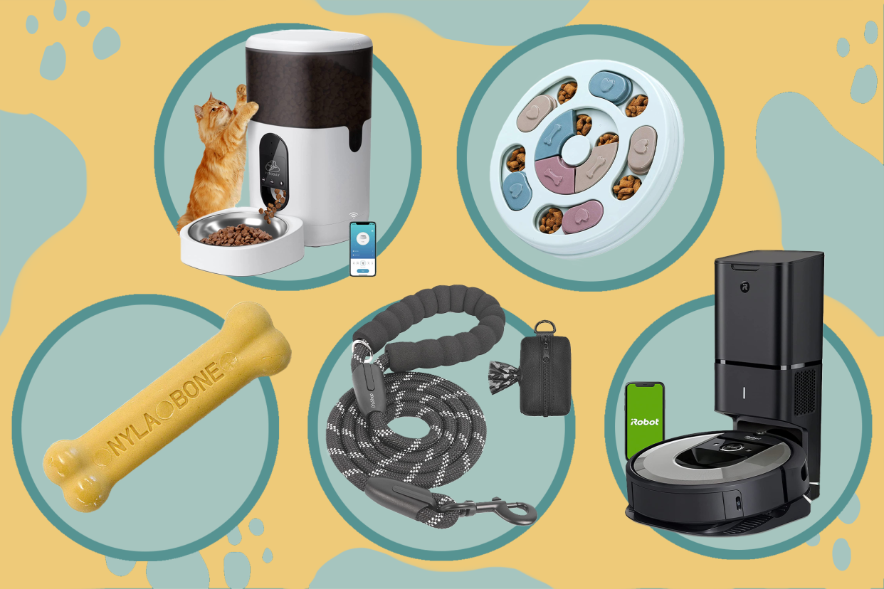 amazon's best black friday pet deals